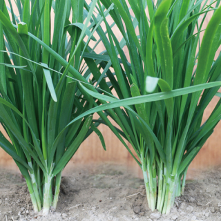 ALL_catalog_24F19_9CQpQK1XOS