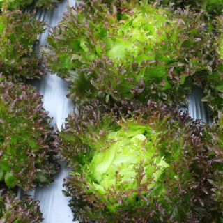 ALL_catalog_24F19_9QLvZOxFKC