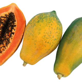 ALL_catalog_24F19_ACtcKCCKYB