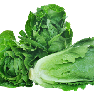 ALL_catalog_24F19_BIlvG5f5tK