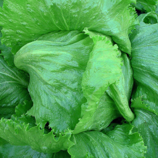 ALL_catalog_24F19_CU3UsLyYZL