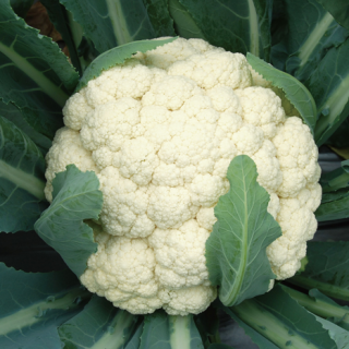 ALL_catalog_24F19_FtDXHRuHGc