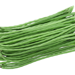 ALL_catalog_24F19_G2z10ysNKc