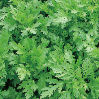 ALL_catalog_24F19_G4wKo6pcmb