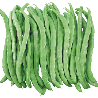 ALL_catalog_24F19_Hr19I3h0in