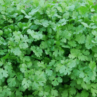 ALL_catalog_24F19_I9Kdvw0gMm