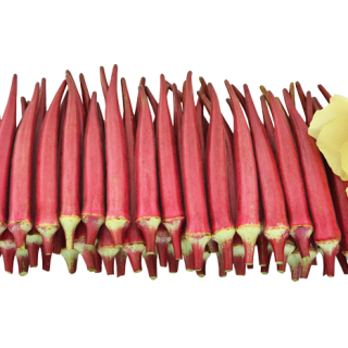 ALL_catalog_24F19_J5ZbURROO9