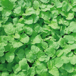 ALL_catalog_24F19_KOdKYeaH8C