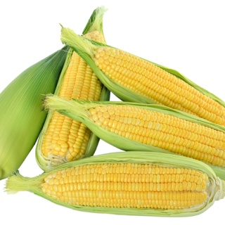 ALL_catalog_24F19_L6RIINXTd8