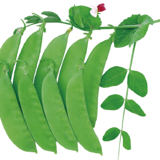 ALL_catalog_24F19_LM0gSsMxN1