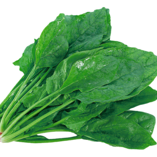 ALL_catalog_24F19_LpKtnzULbR