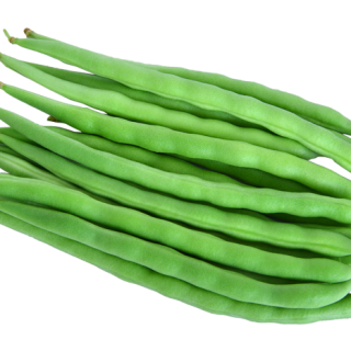 ALL_catalog_24F19_MKYSSRKs6p