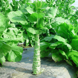 ALL_catalog_24F19_NC6jxftFNF