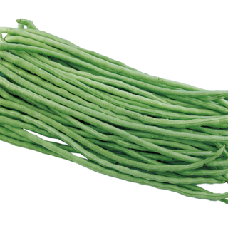 ALL_catalog_24F19_OWdtxXp2xZ