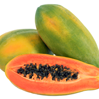 ALL_catalog_24F19_QMWZxuz8YD