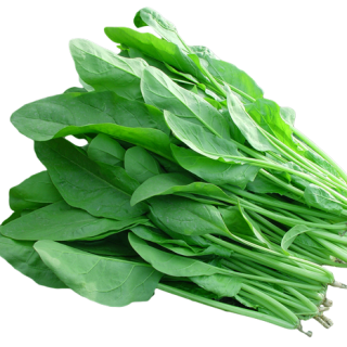 ALL_catalog_24F19_Qg2rNKdyR7