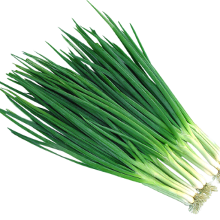 ALL_catalog_24F19_QnqCeAHs3G