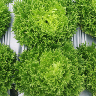 ALL_catalog_24F19_R5KvNWfyEO