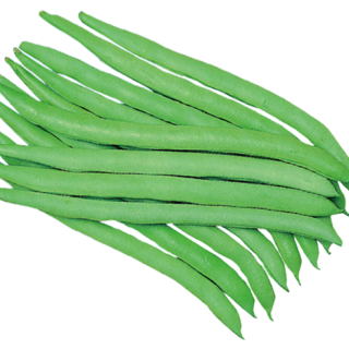 ALL_catalog_24F19_UmnT0B1Uzz