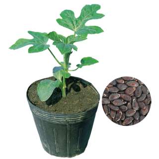 ALL_catalog_24F19_W6LTLl9Rhs