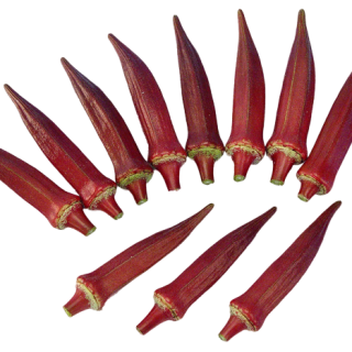 ALL_catalog_24F19_YRnYZiNoia