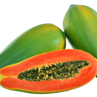 ALL_catalog_24F19_ZJBtiABX3Y