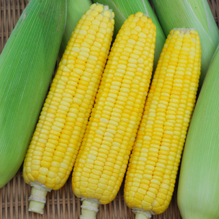 ALL_catalog_24F19_aUGm4PTi9z