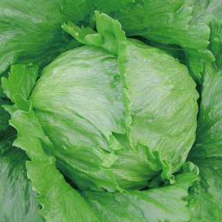 ALL_catalog_24F19_abuhvHTgfe