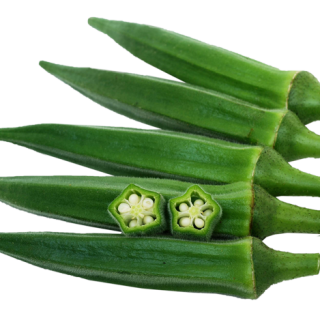 ALL_catalog_24F19_b1QQFDrYy3