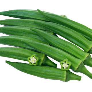 ALL_catalog_24F19_b79f25x92q