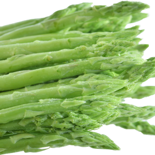 ALL_catalog_24F19_bECkMjMkYi