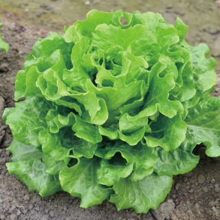 ALL_catalog_24F19_boRVcy05Bd