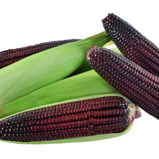 ALL_catalog_24F19_c6X0jzFnvi