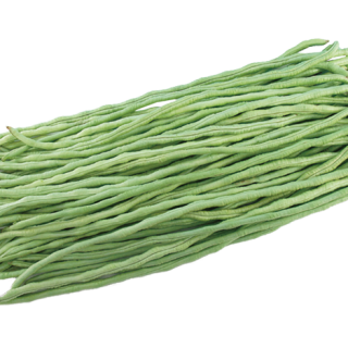 ALL_catalog_24F19_ccG02JWQBL