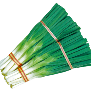 ALL_catalog_24F19_dWJizI9I5G