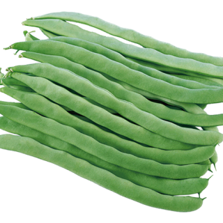 ALL_catalog_24F19_diku2f0cK7