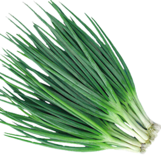 ALL_catalog_24F19_dmJcngor0j