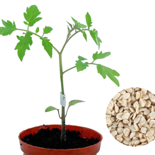 ALL_catalog_24F19_ecXY3v7XFJ