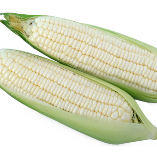 ALL_catalog_24F19_eiIOdsLGNr