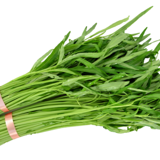 ALL_catalog_24F19_fELSguB9ft