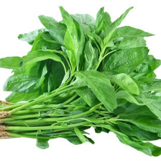 ALL_catalog_24F19_g2MokZsGHh