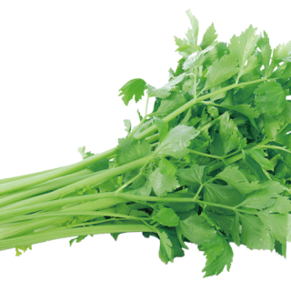 ALL_catalog_24F19_gQqPvXCjzL