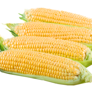 ALL_catalog_24F19_iv4bpPYexZ