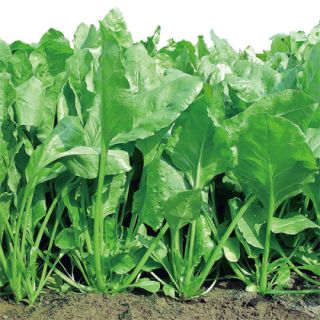 ALL_catalog_24F19_ln2yTNWKrV