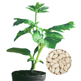 ALL_catalog_24F19_lnUh8Ke1g7