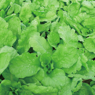 ALL_catalog_24F19_luPoXZaCqJ