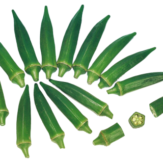 ALL_catalog_24F19_lvs8yZoH70