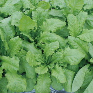 ALL_catalog_24F19_oBWzWtX153