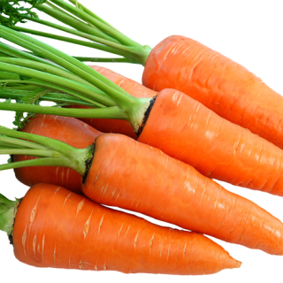 ALL_catalog_24F19_pd5bWQFCER