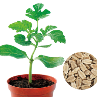 ALL_catalog_24F19_qp315feQts